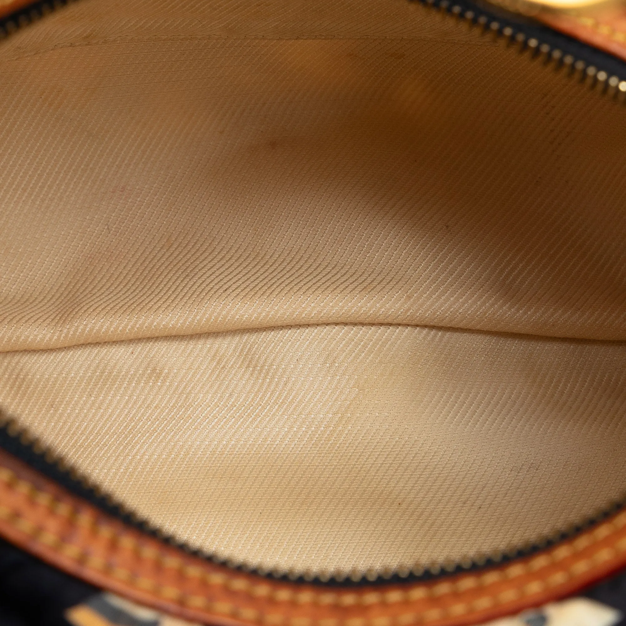 Black Louis Vuitton Monogram Bulles PM Hobo Bag