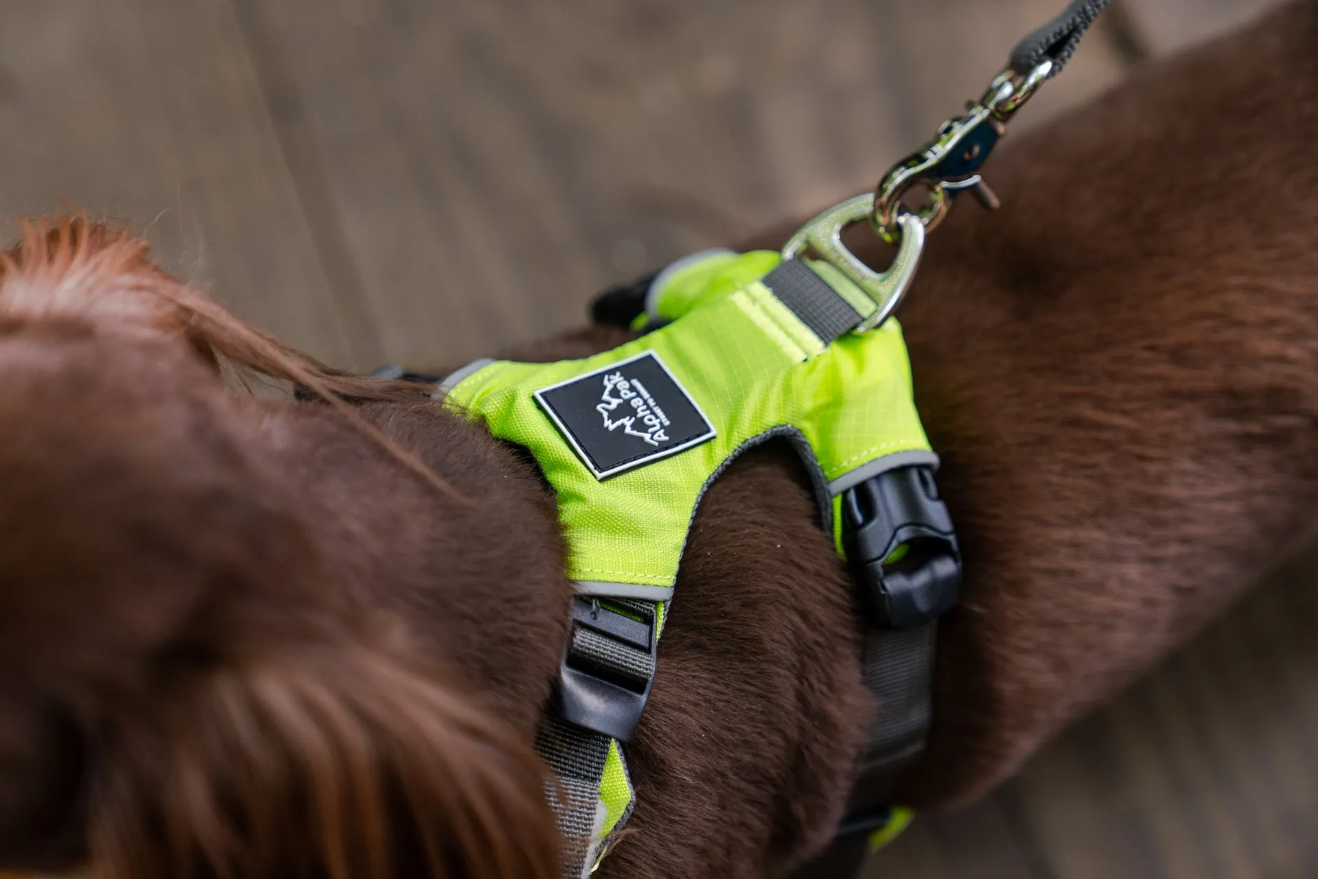 Millvue Kiwi Green EZ Fit™ Dog Harness - Wholesale