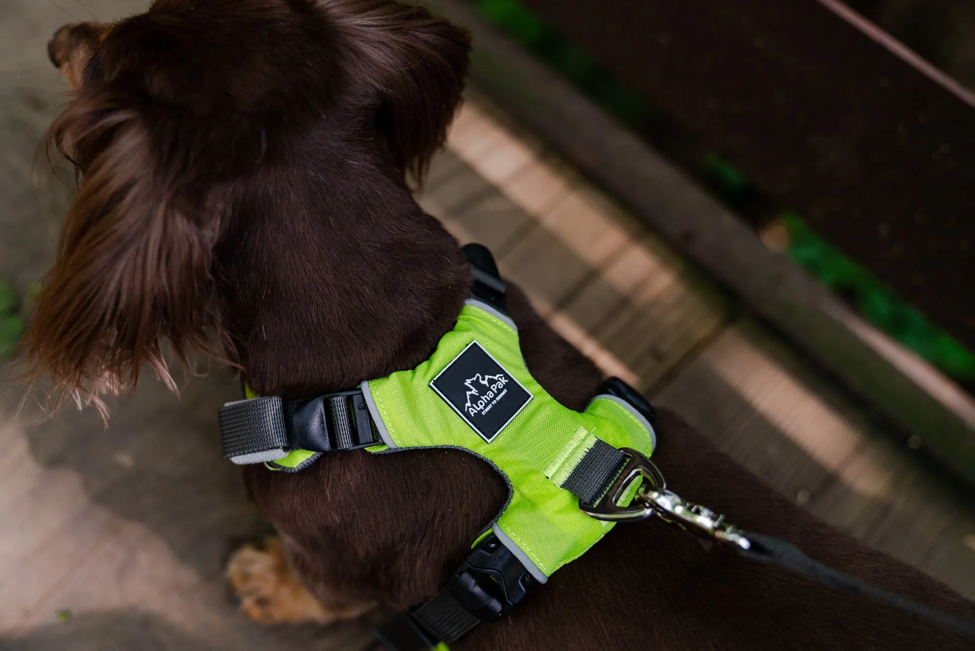 Millvue Kiwi Green EZ Fit™ Dog Harness - Wholesale